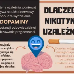 Grafika wyjaśnia, dlaczego nikotyna uzależnia, pokazując mózg i uśmiechniętą buźkę symbolizującą przyjemność.