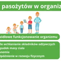 Tłuszczowe stolce i zmęczenie? Sprawdź objawy zaburzeń wchłaniania