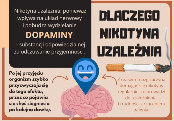 Grafika wyjaśnia, dlaczego nikotyna uzależnia, pokazując mózg i uśmiechniętą buźkę symbolizującą przyjemność.