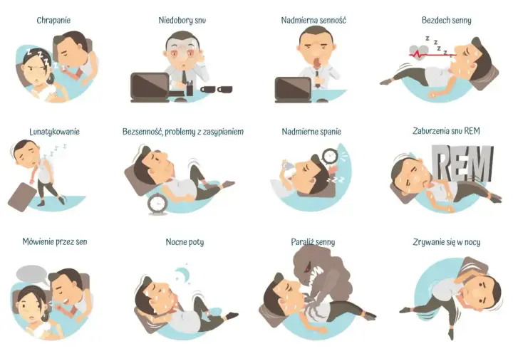Ilustracje pokazują różne problemy ze snem: chrapanie, niedobory snu, nadmierną senność, bezdech senny, lunatykowanie, bezsenność, nadmierne spanie, zaburzenia snu REM, mówienie przez sen, nocne poty, paraliż senny i zrywanie się w nocy.