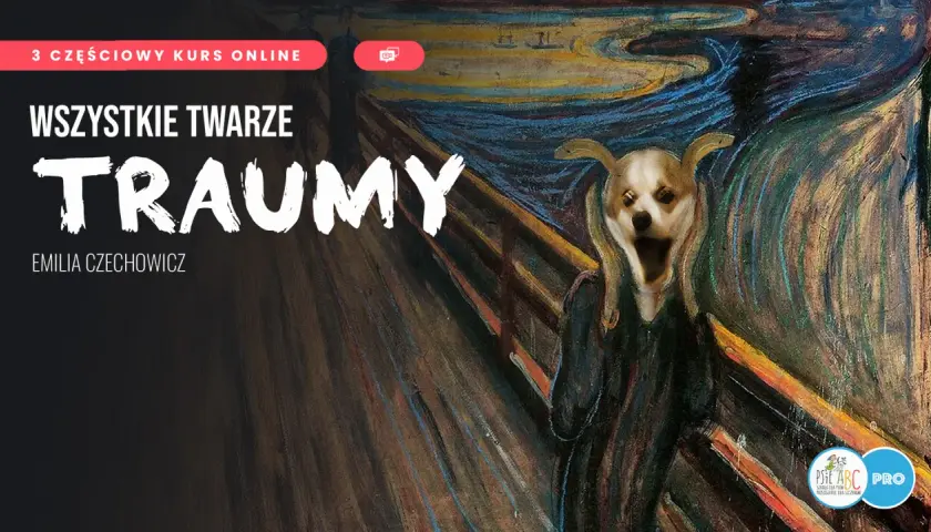Objawy zaburzeń adaptacyjnych: rozpoznaj, zrozum, działaj!